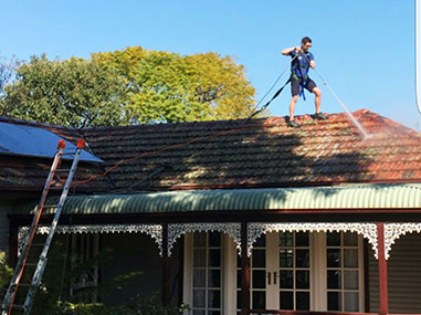 roof clean